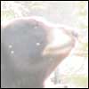 --[ .... photography .... ]--